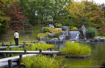 Gradina japoneza din orasul belgian Hasselt