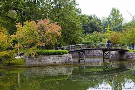 Gradina japoneza din orasul belgian Hasselt