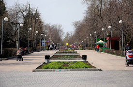 Country Park, Samara