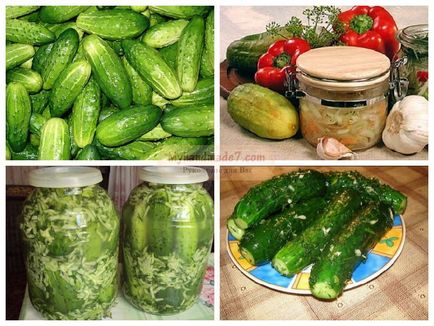 Pickle castraveți pentru rețete populare de iarnă cu fotografii