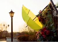 sárga esernyő