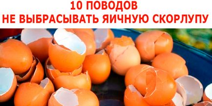 10 ok, hogy ne dobja tojáshéj, ötletek