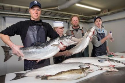 10 ok, látogasson Kotka (Kotka) 10 ok, hogy látogassa Kotka