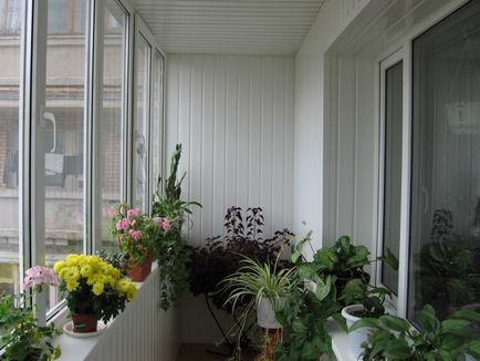 9 Idei de decorare a unui balcon și a unei loggii