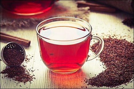 Африканський чай ханібуш корисні властивості і протипоказання