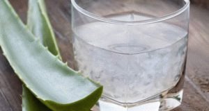 Aloe din tratamentul ulcerului gastric popular