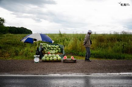 Кавуновий рік спаські фермери вирощують баштанні і не бояться кризи - Корі Сараму