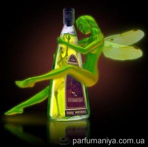 Arome cu mirosul absintului