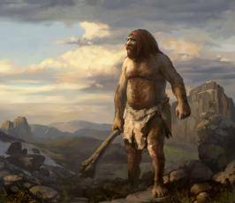 Australopithecus, Neanderthal, Cro-Magnon, caracteristică comparativă