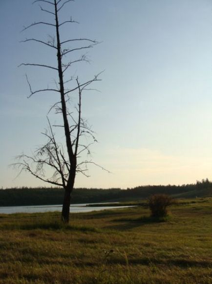 Байкери відпочивають) або як я з'їздила в село