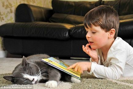 O pisică fără adăpost a ajutat un băiat autistic, imagini cognitive și interesante cu poze amuzante