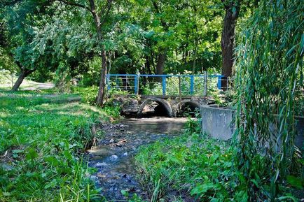 Gradina botanica din Rostov-on-Don fotografii si recenzii