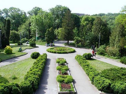 Ботанічний сад Ростова-на-дону фото і відгуки