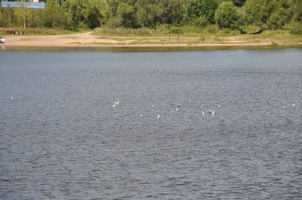 Burlaki - pe Volga, mai proaspăt - cel mai bun Runet pentru zi!