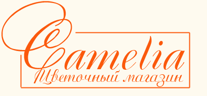 Camelia - квіти в Бєльці - весільні букети нареченої