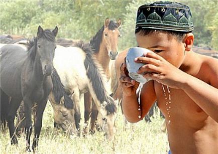 Centrul de tratament saumal (lap mare de aburi), kumysolechenie, vouchere din Almaty și Astana - fericit