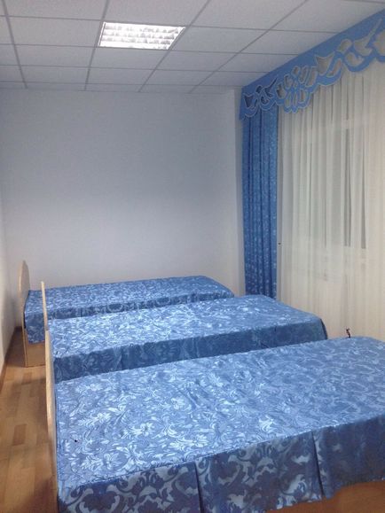Centrul de tratament saumal (lap mare de aburi), kumysolechenie, vouchere din Almaty și Astana - fericit