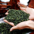 Tea Da Hong Pao, vagy a nagy piros köpenyt hatása mérgezés
