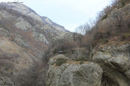 Чечня фото Аргунську ущелині