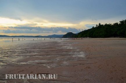 Чим займаються тайці коли на морі відлив