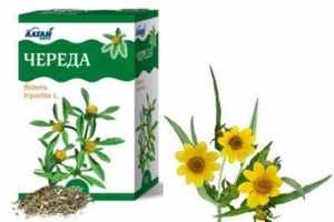 Egy sor allergia - hasznos tulajdonságok, alkalmazás, kezelés és előírások (tulajdonságok) Egy sor allergia - hasznos tulajdonságok, alkalmazás, kezelés és előírások