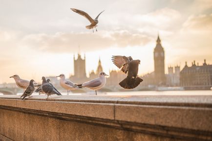 Ce să vedem la Londra, un oraș care a absorbit istoria