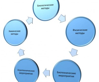 Що таке інтегрована система захисту рослин агробезопасность