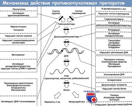 Cytostatice în tratamentul tumorilor