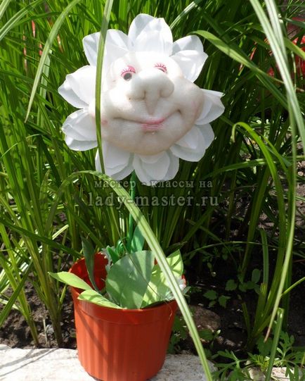 Floare în ciorapi, clasă master cu fotografie, pas cu pas