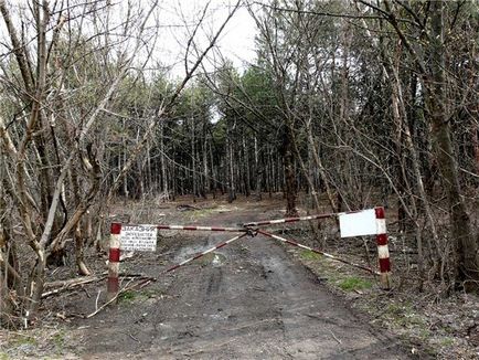 Щоденники - гніздо чорного ворона на скелі