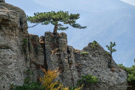 Valea fantomelor - o rută de mers pe jos, Crimeea