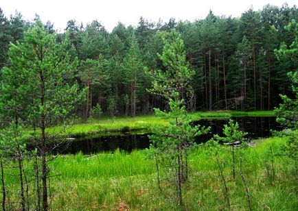 Пам'ятки смоленської області список, фото і опис, всі визначні пам'ятки