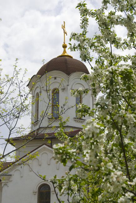 Душевні хвороби лікуються духовними ліками »