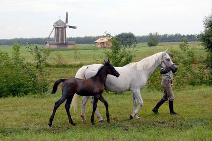 Excursii - servicii - stat Lermontov muzeu-rezervație 