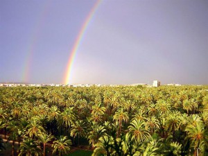 Elche în Spania, atracții