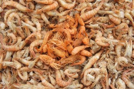 Фальшиві креветки як підробляють морепродукти