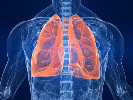 Fapte interesante despre respirație