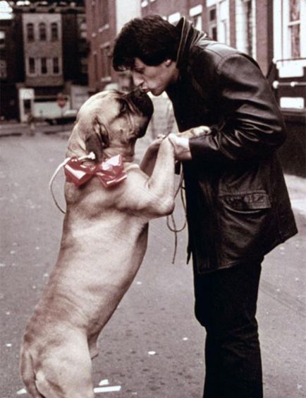 Povestea lui Silvestra Stallone și a câinelui lui de câine