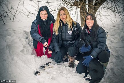 Csonka és megerőszakolta egy kutyát mentettek meg a haláltól, hanem egy mániákus a büntetés a törvény által védett