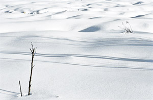 Як фотографувати зимовий пейзаж, природа планети в об'єктиві