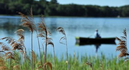 Як і де ловити сопу (белоглазка) інші риби