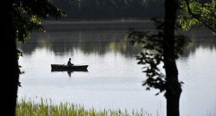 Cum și în cazul în care pentru a prinde peștele (cu ochii albi) alte pești