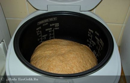 Cum de a coace pâine de casă într-un multivariat