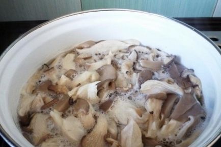 Як краще закрити гриби гливи на зиму відео і рецепти домашніх заготовок