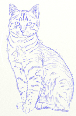 Cum de a desena un sfinx pisicii în etape - cum să atragă o sfinxie pisică în creion pas cu pas