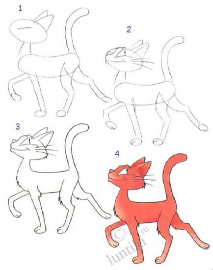 Як намалювати кішку сфінкс поетапно - як намалювати кішку сфінкса олівцем поетапно притулок