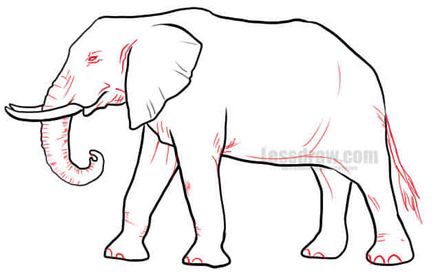 Cum de a desena un elefant în creion în etape, ❤lessdraw❤