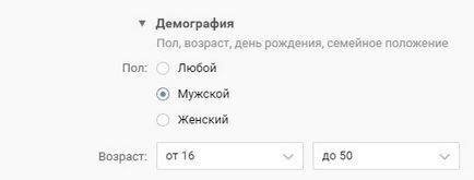 Як налаштувати таргет вк можливості системи