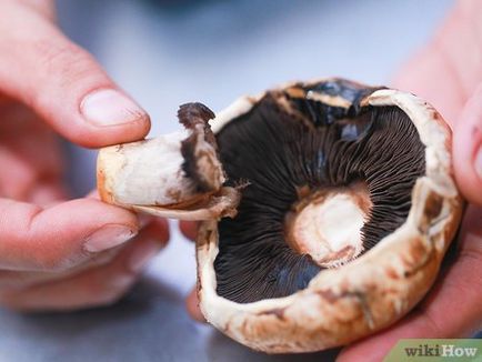 Cum să lăsați o imprimare din sporii ciuperci