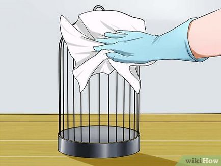 Як помити птицю